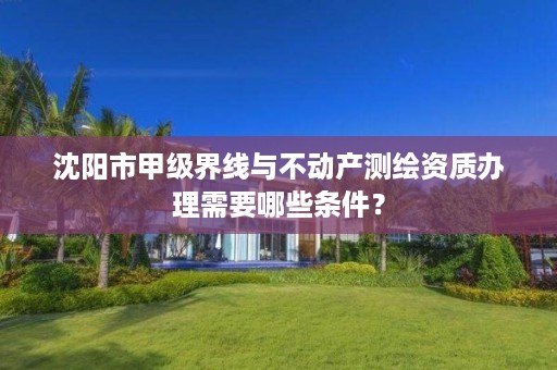 沈阳市甲级界线与不动产测绘资质办理需要哪些条件？
