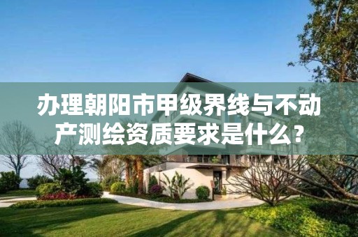 办理朝阳市甲级界线与不动产测绘资质要求是什么？