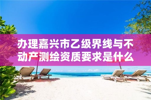 办理嘉兴市乙级界线与不动产测绘资质要求是什么呢?