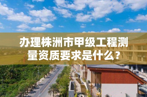 办理株洲市甲级工程测量资质要求是什么?
