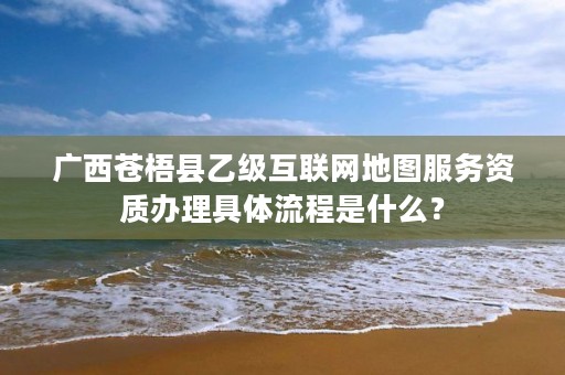 广西苍梧县乙级互联网地图服务资质办理具体流程是什么?
