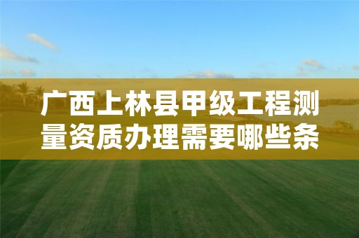 广西上林县甲级工程测量资质办理需要哪些条件?