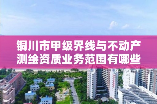 铜川市甲级界线与不动产测绘资质业务范围有哪些?