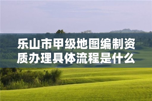 乐山市甲级地图编制资质办理具体流程是什么？