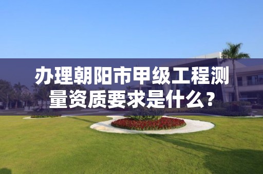 办理朝阳市甲级工程测量资质要求是什么？