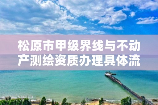 松原市甲级界线与不动产测绘资质办理具体流程是什么？