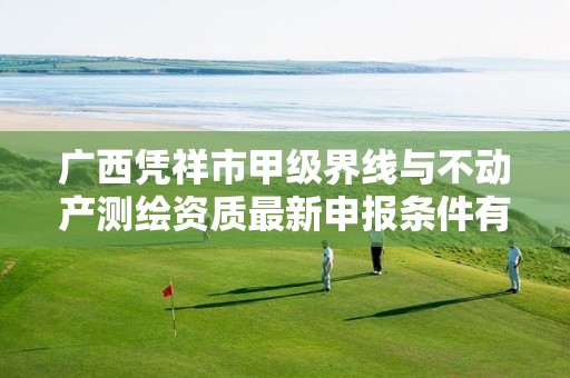 广西凭祥市甲级界线与不动产测绘资质最新申报条件有哪些?