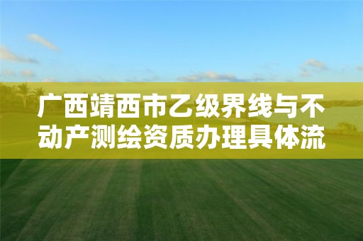 广西靖西市乙级界线与不动产测绘资质办理具体流程是什么?