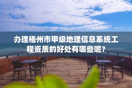 办理梧州市甲级地理信息系统工程资质的好处有哪些呢?