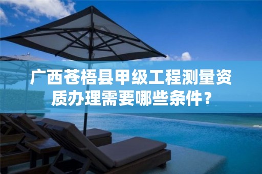 广西苍梧县甲级工程测量资质办理需要哪些条件？