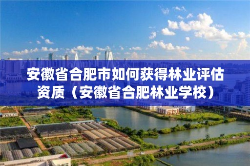 安徽省合肥市如何获得林业评估资质(安徽省合肥林业学校)
