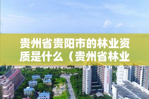 贵州省贵阳市的林业资质是什么(贵州省林业龙头企业)