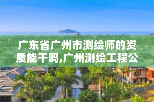 广东省广州市测绘师的资质能干吗,广州测绘工程公司