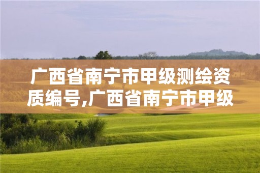 广西省南宁市甲级测绘资质编号,广西省南宁市甲级测绘资质编号是多少