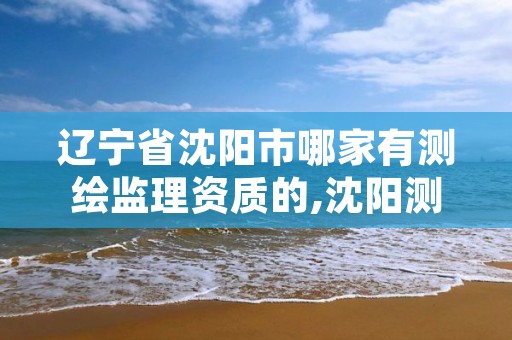 辽宁省沈阳市哪家有测绘监理资质的,沈阳测绘勘察研究院有限公司