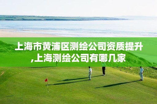 上海市黄浦区测绘公司资质提升,上海测绘公司有哪几家