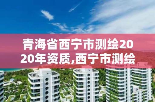 青海省西宁市测绘2020年资质,西宁市测绘院招聘公示