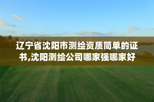 辽宁省沈阳市测绘资质简单的证书,沈阳测绘公司哪家强哪家好