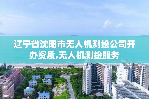 辽宁省沈阳市无人机测绘公司开办资质,无人机测绘服务