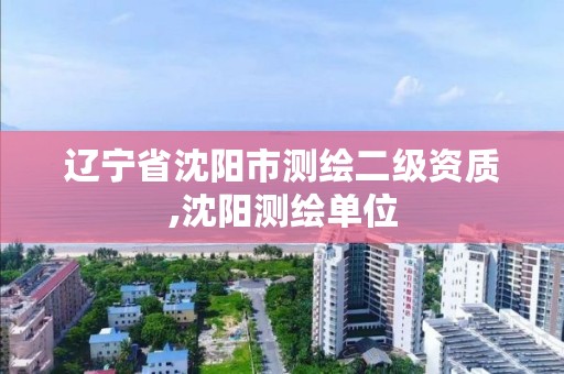 辽宁省沈阳市测绘二级资质,沈阳测绘单位