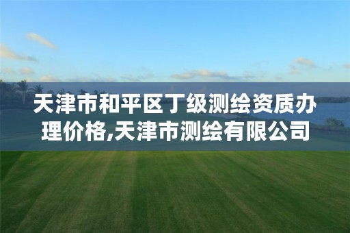 天津市和平区丁级测绘资质办理价格,天津市测绘有限公司