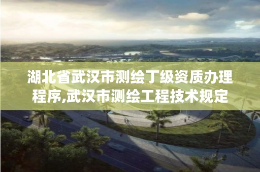 湖北省武汉市测绘丁级资质办理程序,武汉市测绘工程技术规定