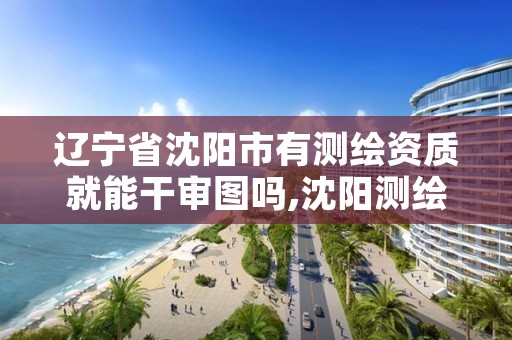 辽宁省沈阳市有测绘资质就能干审图吗,沈阳测绘单位排名