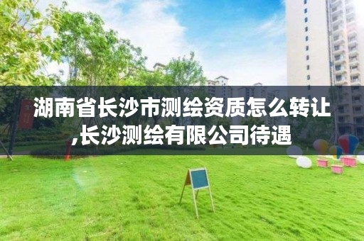 湖南省长沙市测绘资质怎么转让,长沙测绘有限公司待遇