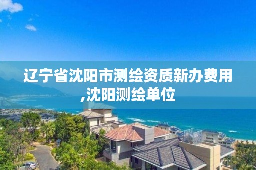 辽宁省沈阳市测绘资质新办费用,沈阳测绘单位