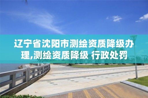 辽宁省沈阳市测绘资质降级办理,测绘资质降级 行政处罚