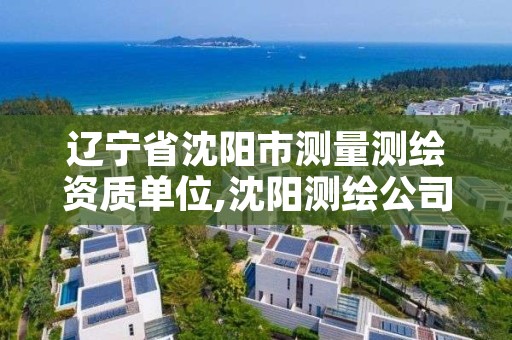 辽宁省沈阳市测量测绘资质单位,沈阳测绘公司哪家强哪家好