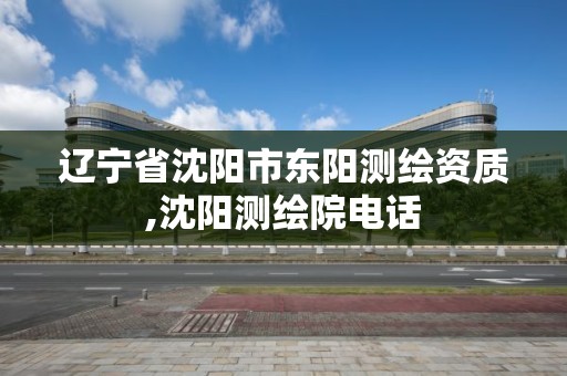 辽宁省沈阳市东阳测绘资质,沈阳测绘院电话