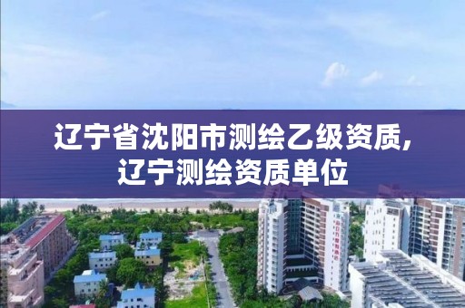 辽宁省沈阳市测绘乙级资质,辽宁测绘资质单位