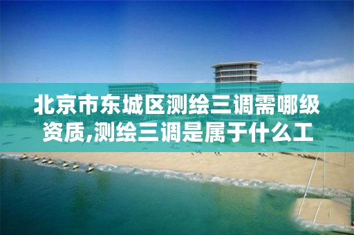 北京市东城区测绘三调需哪级资质,测绘三调是属于什么工作