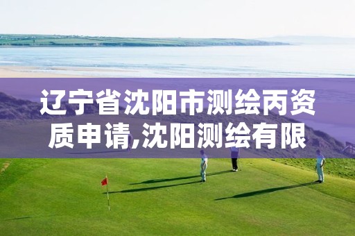 辽宁省沈阳市测绘丙资质申请,沈阳测绘有限公司