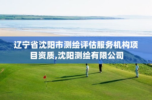 辽宁省沈阳市测绘评估服务机构项目资质,沈阳测绘有限公司