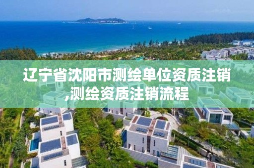 辽宁省沈阳市测绘单位资质注销,测绘资质注销流程