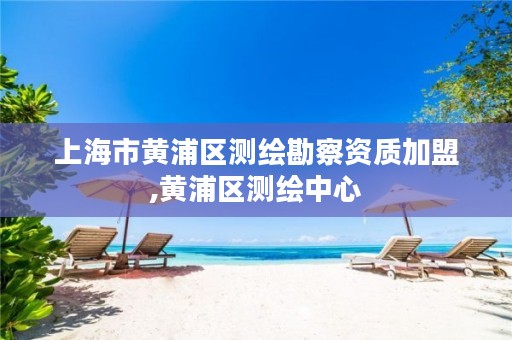 上海市黄浦区测绘勘察资质加盟,黄浦区测绘中心