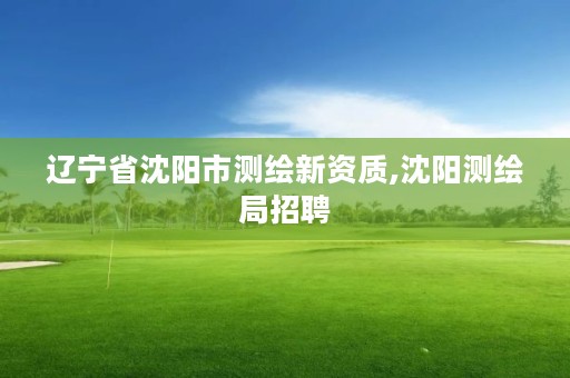 辽宁省沈阳市测绘新资质,沈阳测绘局招聘