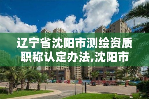 辽宁省沈阳市测绘资质职称认定办法,沈阳市测绘院电话
