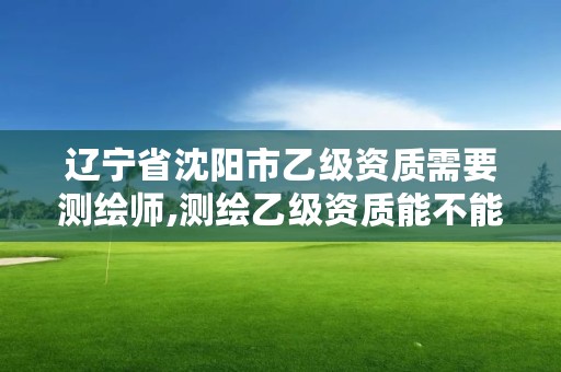 辽宁省沈阳市乙级资质需要测绘师,测绘乙级资质能不能做省外的项目