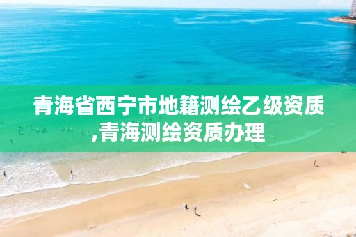 青海省西宁市地籍测绘乙级资质,青海测绘资质办理