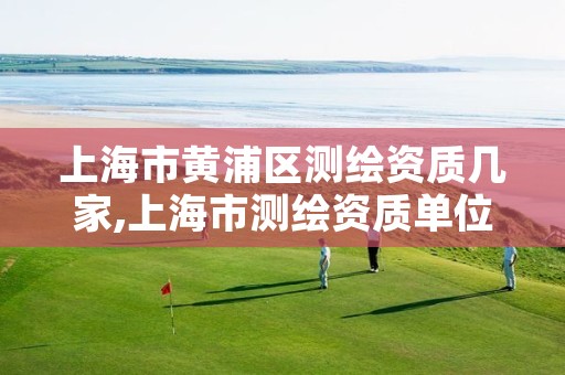 上海市黄浦区测绘资质几家,上海市测绘资质单位名单