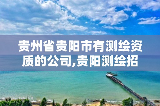 贵州省贵阳市有测绘资质的公司,贵阳测绘招聘