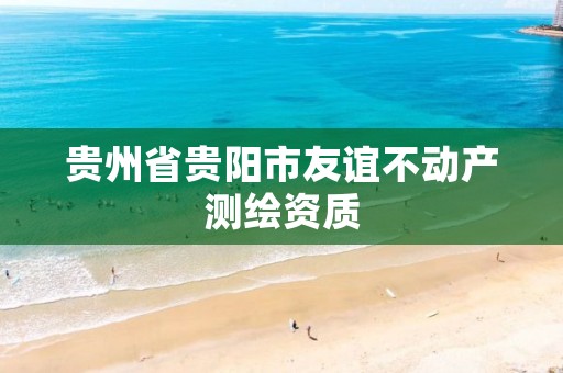 贵州省贵阳市友谊不动产测绘资质