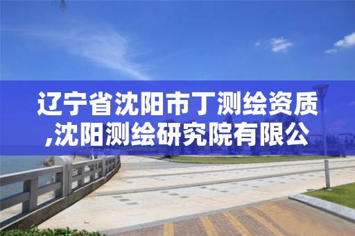 辽宁省沈阳市丁测绘资质,沈阳测绘研究院有限公司官网