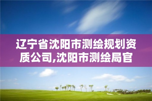 辽宁省沈阳市测绘规划资质公司,沈阳市测绘局官网