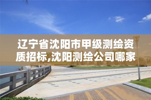 辽宁省沈阳市甲级测绘资质招标,沈阳测绘公司哪家强哪家好