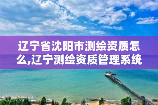 辽宁省沈阳市测绘资质怎么,辽宁测绘资质管理系统登录