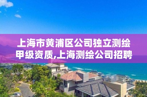 上海市黄浦区公司独立测绘甲级资质,上海测绘公司招聘